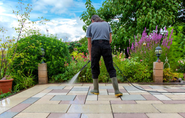 Best Gutter Cleaning and Brightening in USA